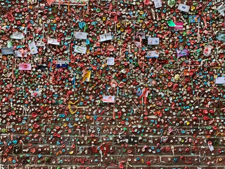 Artisan Sugar Free Gum Brands | Honest Comparison Review | Seven Gum