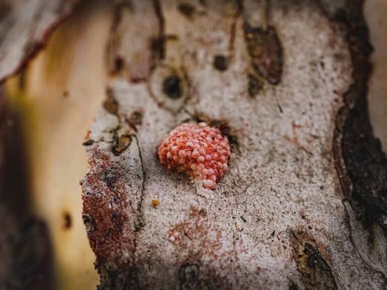 Independent Sugar Free Gum Brand | Fasting & Keto Expert Guide | Seven Gum — Gum Independent Sugar gum #1